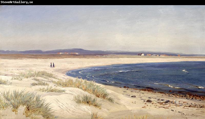 Amaldus Clarin Nielsen Mennesker pa en strand